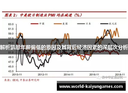 解析凯恩年薪偏低的原因及其背后经济因素的深层次分析
